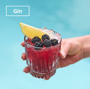 🍋Bramble Gin Cocktail Pack 14.2% 4x125ml