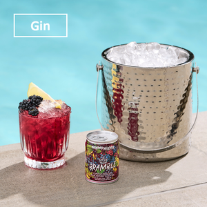 🍋Bramble Gin Cocktail Pack 14.2% 4x125ml